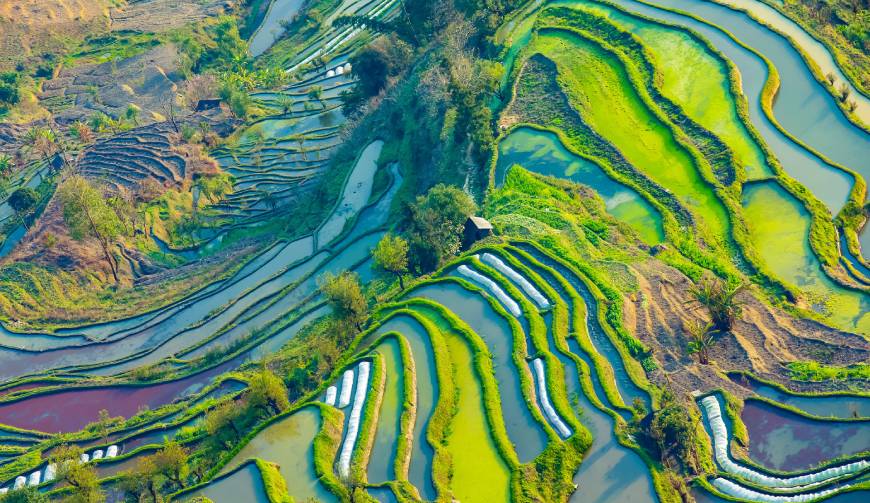走进泽普县TVC拍摄：解锁本地化场景与创意镜头的完美融合